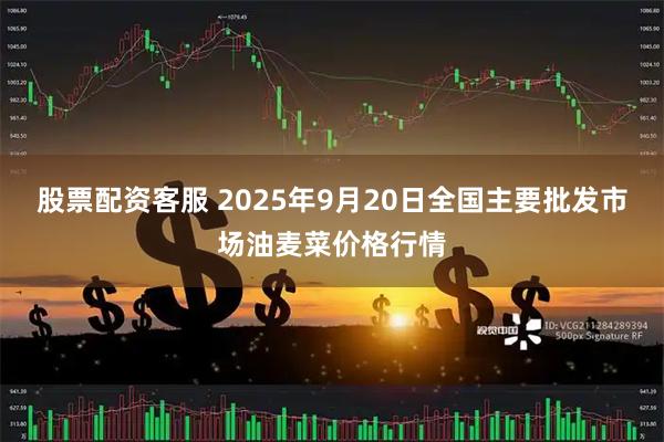 股票配资客服 2025年9月20日全国主要批发市场油麦菜价格行情